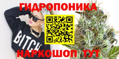 гидра Обнинск