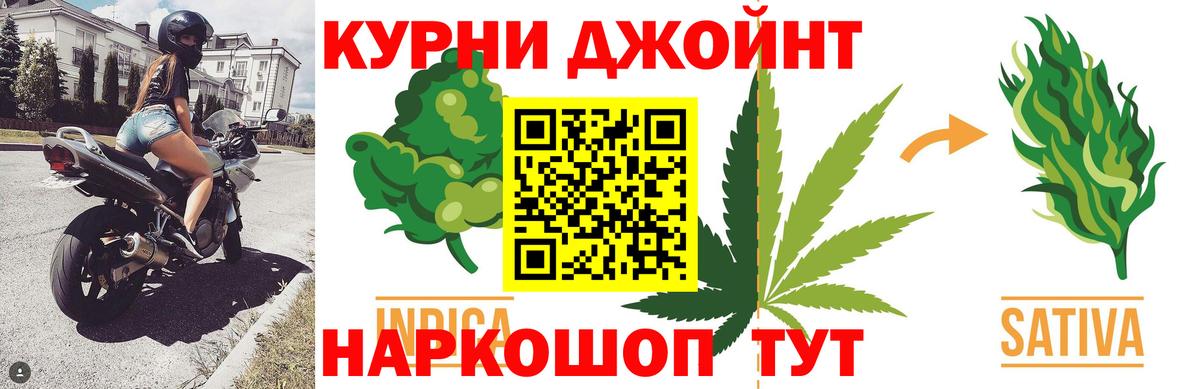 Канабис OG Kush Элиста
